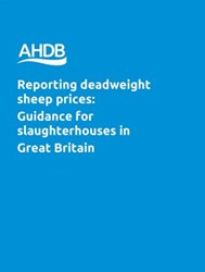 Blue cover of document on reporting deadweight sheep prices to slaughterhouses